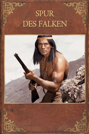 Póster de la película Spur des Falken