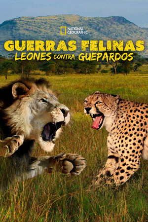 Póster de la película Cat Wars: Lion vs. Cheetah