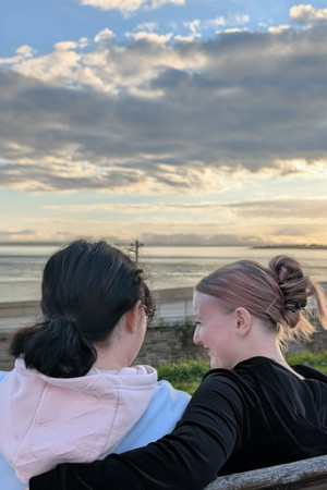 Póster de la película CRONY