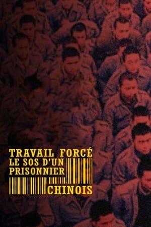 Póster de la película Travail forcé, le SOS d'un prisonnier chinois