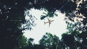 Lost