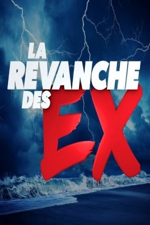 watch la revanche des ex tv show free online poster