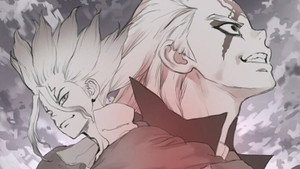 Dr. Stone