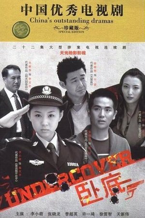 watch 卧底 tv show free online poster