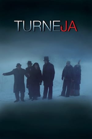 Póster de la película Turneja