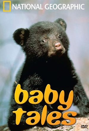 Póster de la película Baby Tales