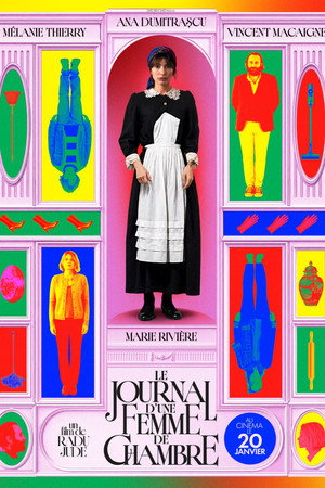 Póster de la película Diario de una camarera