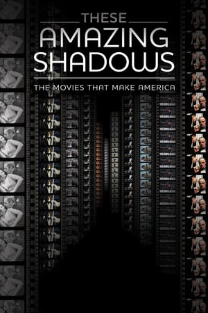 Póster de la película These Amazing Shadows