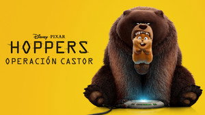 Hoppers