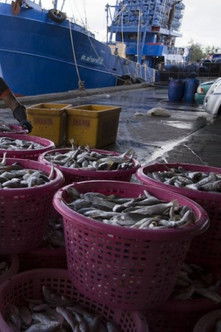 Supermarket slave trail