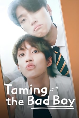 일진조련기