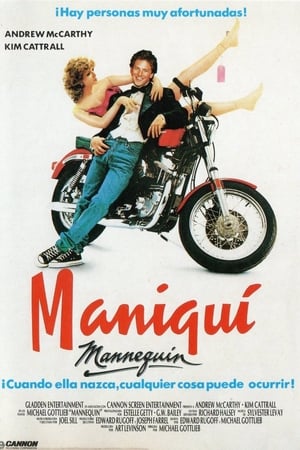 Póster de la película Maniquí