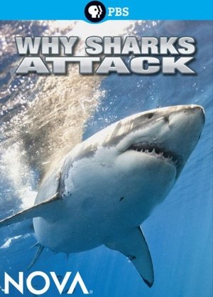 Póster de la película Why Sharks Attack