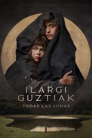 Póster de la película Ilargi guztiak. Todas las lunas