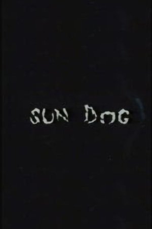 Sun Dog