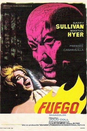 Póster de la película Fuego