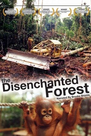 Póster de la película Disenchanted Forest