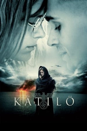 Póster de la película Kätilö