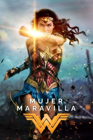 Póster de la película Wonder Woman