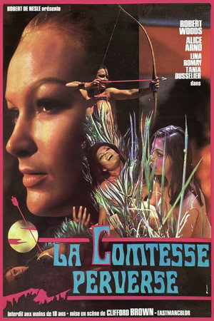Póster de la película La condesa perversa