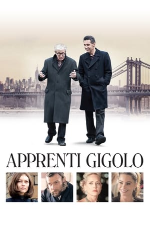 Apprenti gigolo Streaming VF VOSTFR