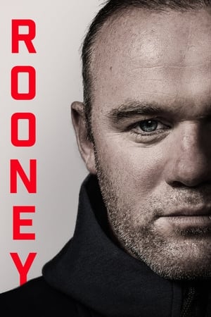 Póster de la película Rooney