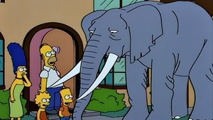 Bart gana un elefante