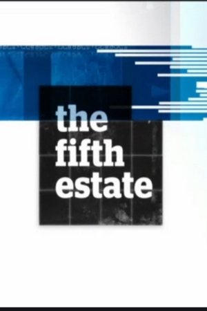 Póster de la serie The Fifth Estate