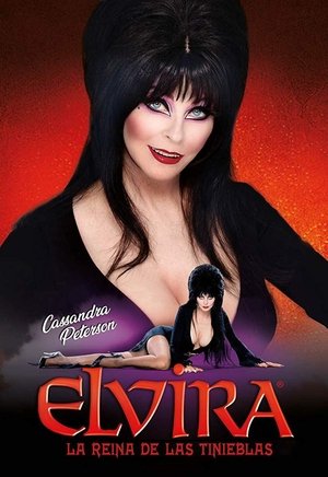 Póster de la película Elvira, la reina de las tinieblas