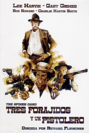 Póster de la película Tres forajidos y un pistolero