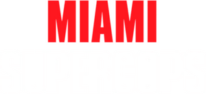 Dos súper policías en Miami