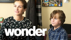 Wonder