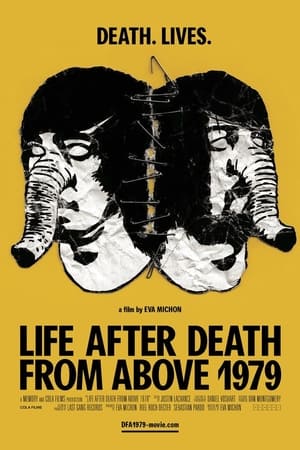 Póster de la película Life After Death from Above 1979