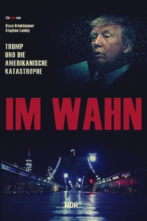 Póster de la película Im Wahn - Trump und die Amerikanische Katastrophe