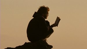 Into the Wild