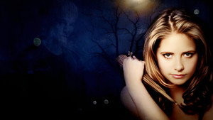 Buffy the Vampire Slayer
