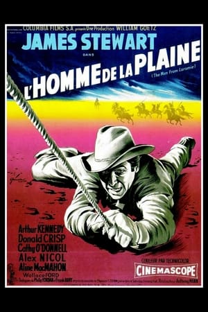 L'Homme de la plaine Streaming VF VOSTFR