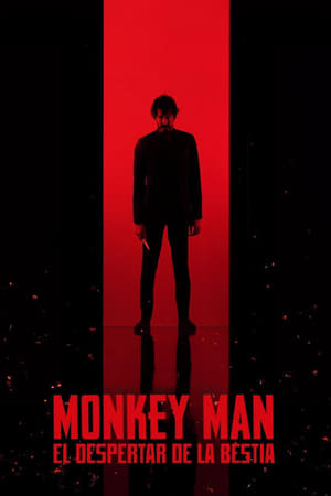 Póster de la película Monkey Man