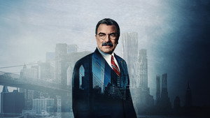Blue Bloods