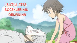 蛍火の杜へ