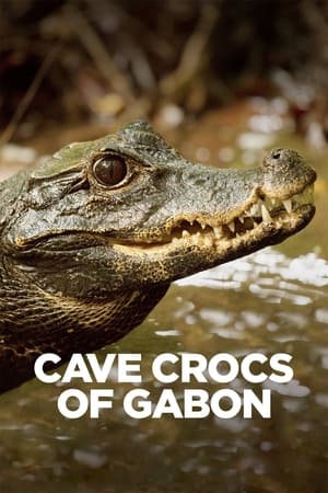 Póster de la película Cave Crocs of Gabon