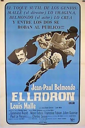 Póster de la película El ladrón de París