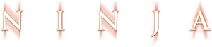 Ninja: El guerrero silencioso