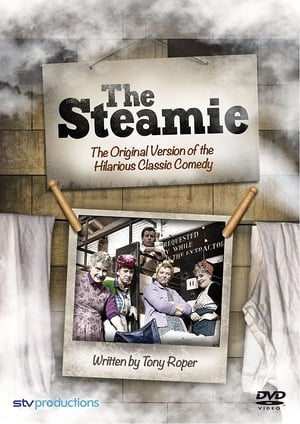 Póster de la película The Steamie