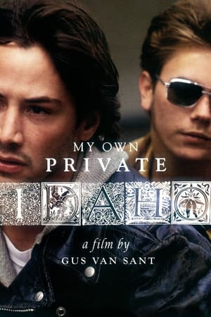 Póster de la película Mi Idaho privado