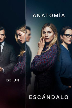 Anatomía de un escándalo
