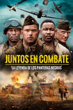 Póster de la película Juntos en combate