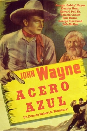 Póster de la película Acero azul