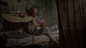 Midnight Express