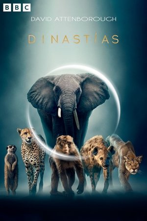 Póster de la serie Dinastías